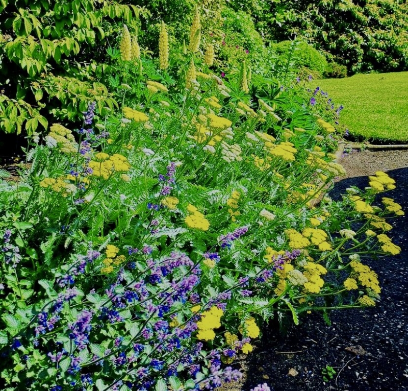 The Blundell's School Garden